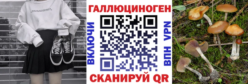 где продают наркотики  Нюрба  Галлюциногенные грибы мицелий 